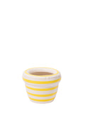 STRIPES 'LOUIS' Lemon