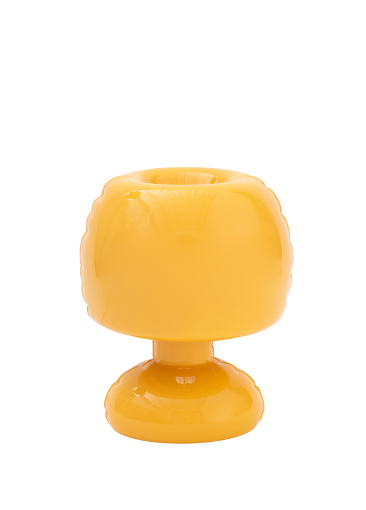 FREDDY Yolk Gloss