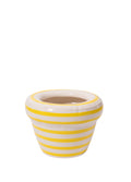 STRIPES 'PIERRE' Lemon