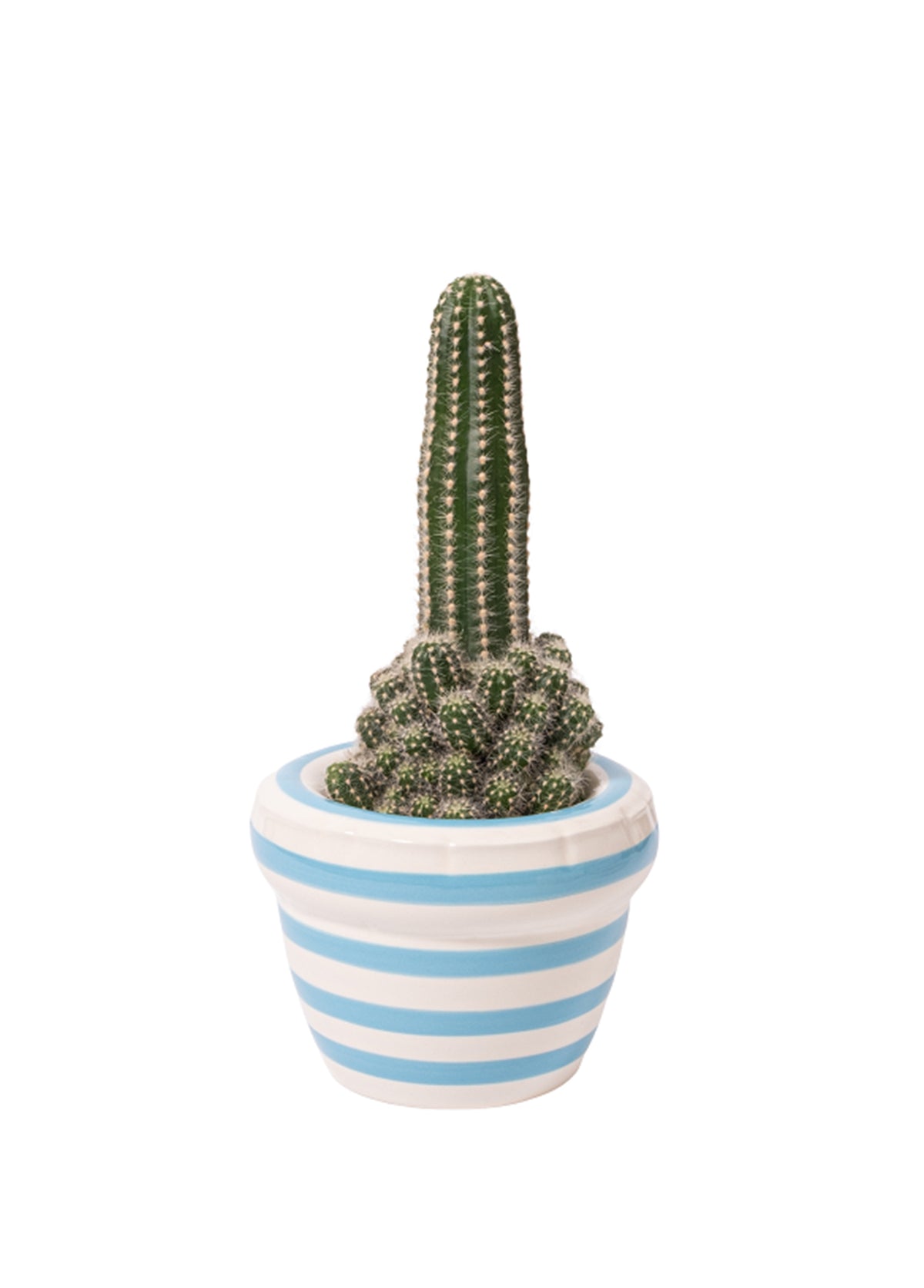 STRIPES 'LOUIS'-OCEAN